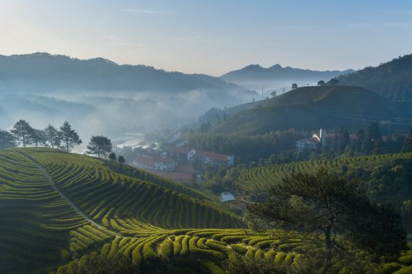 武夷山嘉叶山舍